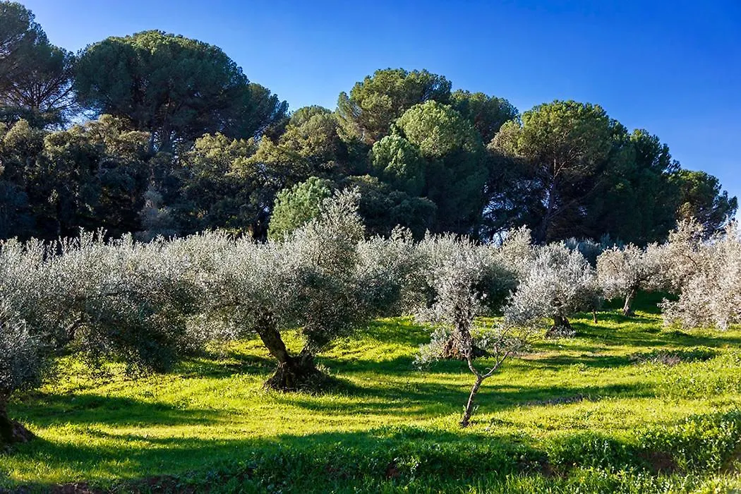 Prázdninový dům Vila Isla Virgen Villaviciosa de Córdoba Španělsko